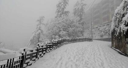 Frost Valley Shimla