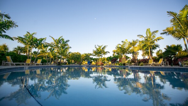 A clear pool with reflections of palm trees and lounge chairs, surrounded by greenery. - Sugarloaf Key Hotel at KOA Resort (Summerland Key)
