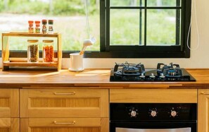 Fridge, oven, stovetop, electric kettle