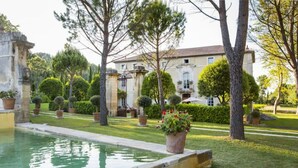 A courtyard with a pool, neatly trimmed hedges, and a building with a tiled roof. - Chateau en Provence (Loriol-du-Comtat)