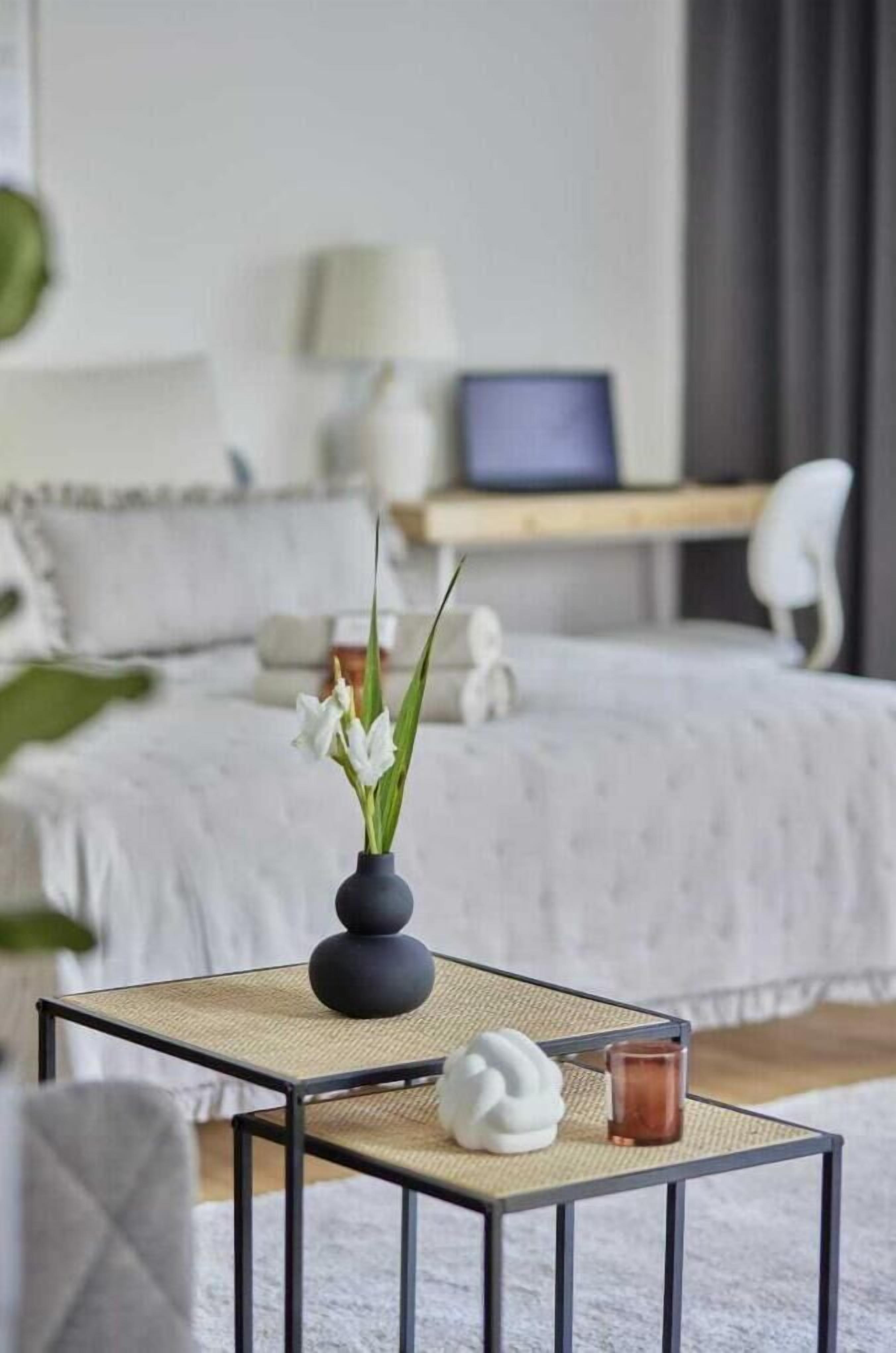 1 chambre, bureau, fer et planche à repasser, Wi-Fi gratuit