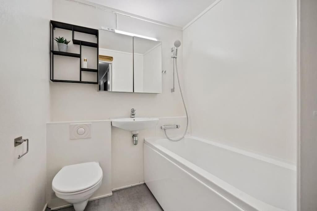 Toallas y papel de baño 