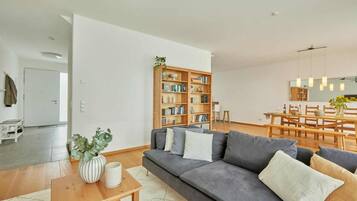 Télévision, cheminée, jeux vidéo