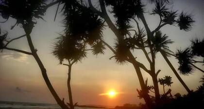 Dickwella Green Villa--Three-Bedroom Villa