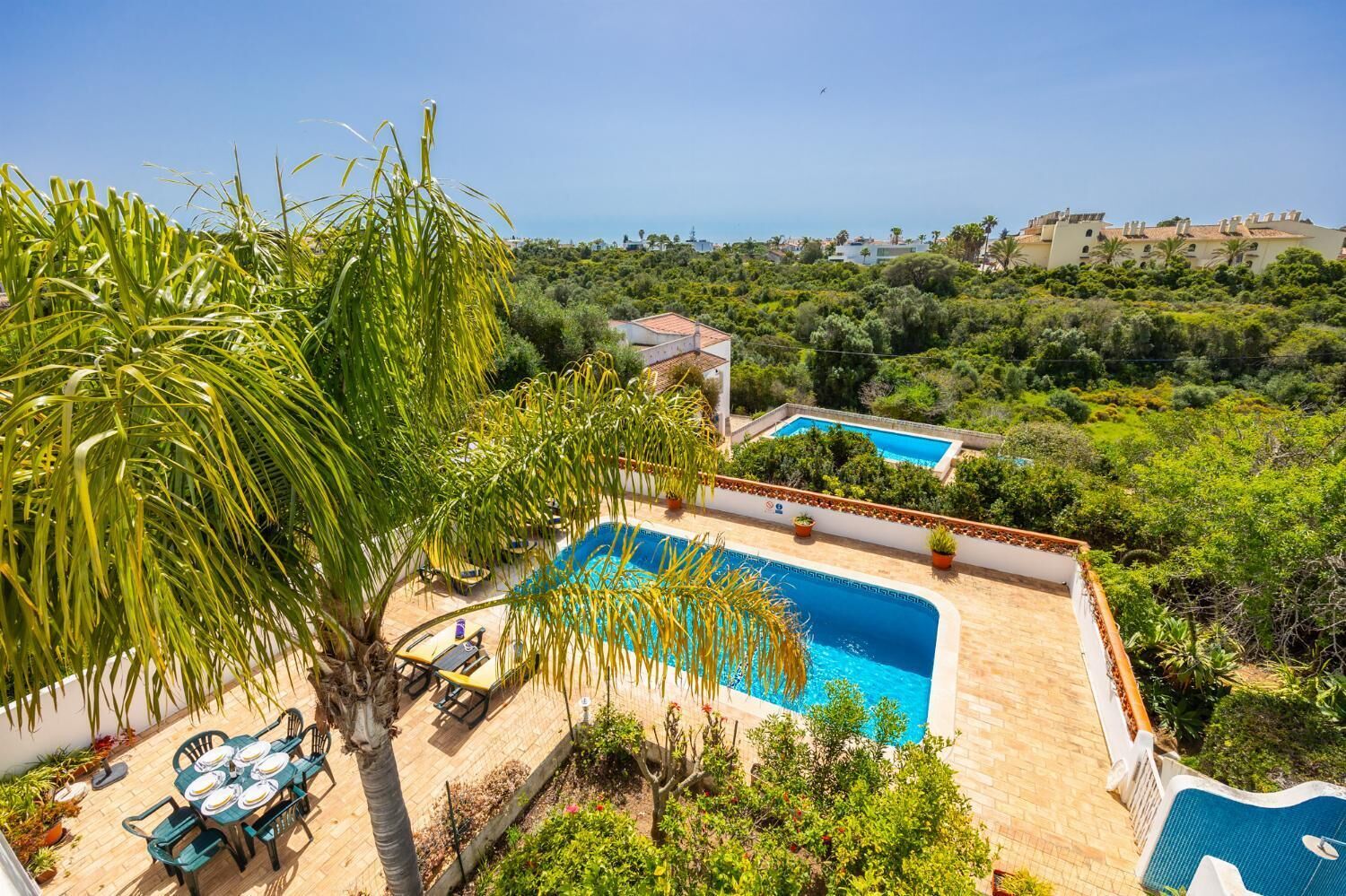 A rooftop pool with a view of the sea, surrounded by lush greenery and palm trees.