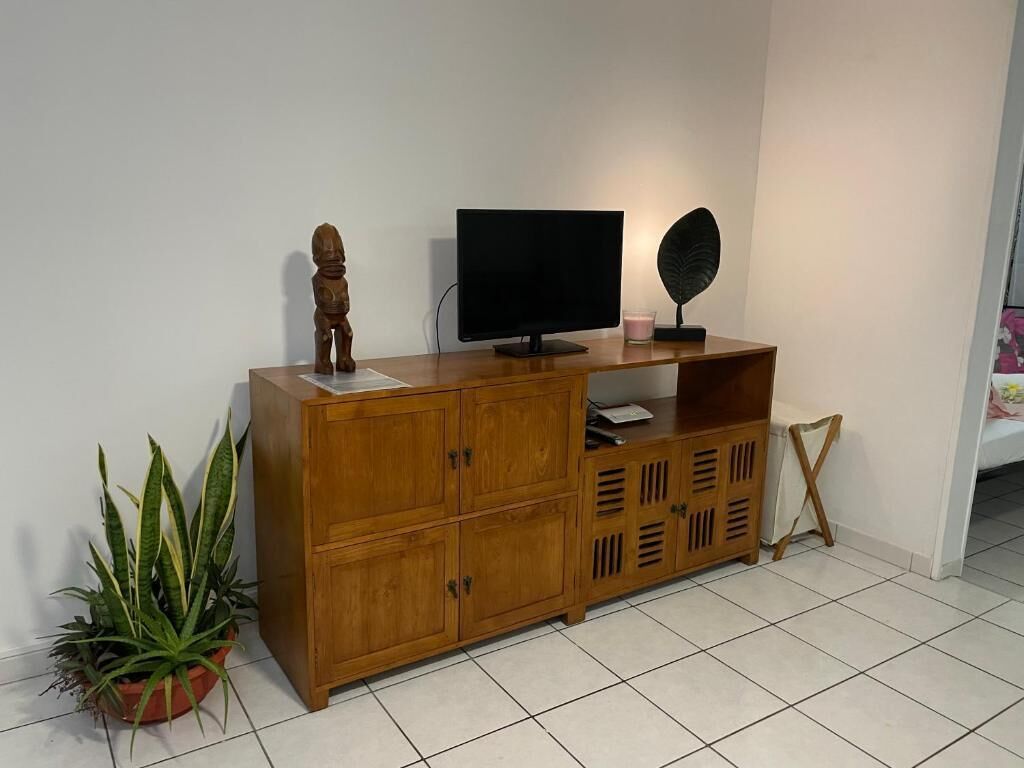 A wooden cabinet with a flat-screen TV, a decorative item, and a potted plant.