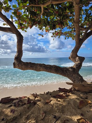 ビーチ、サンラウンジャー、ビーチタオル