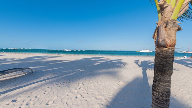 A beach with a palm tree, clear blue sky, and boats in the distance. - 2 bedrooms, Pool, Gym, Beach 7 minutes away (Punta Cana)