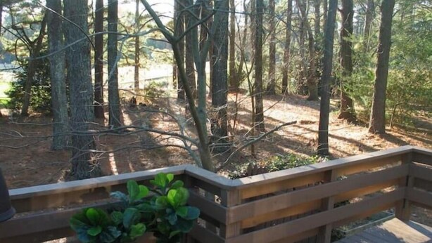 Eine Holzdielen-Terrasse mit einem Topfpflanzen, umgeben von bewaldetem Gelände.