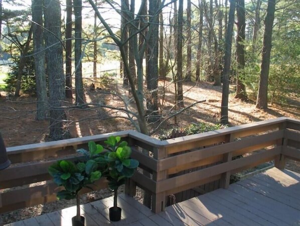 Terrace/patio - Cary Top Location Ranch Home (Cary)