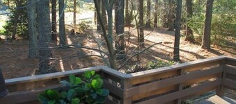 Cary Top Location Ranch Home