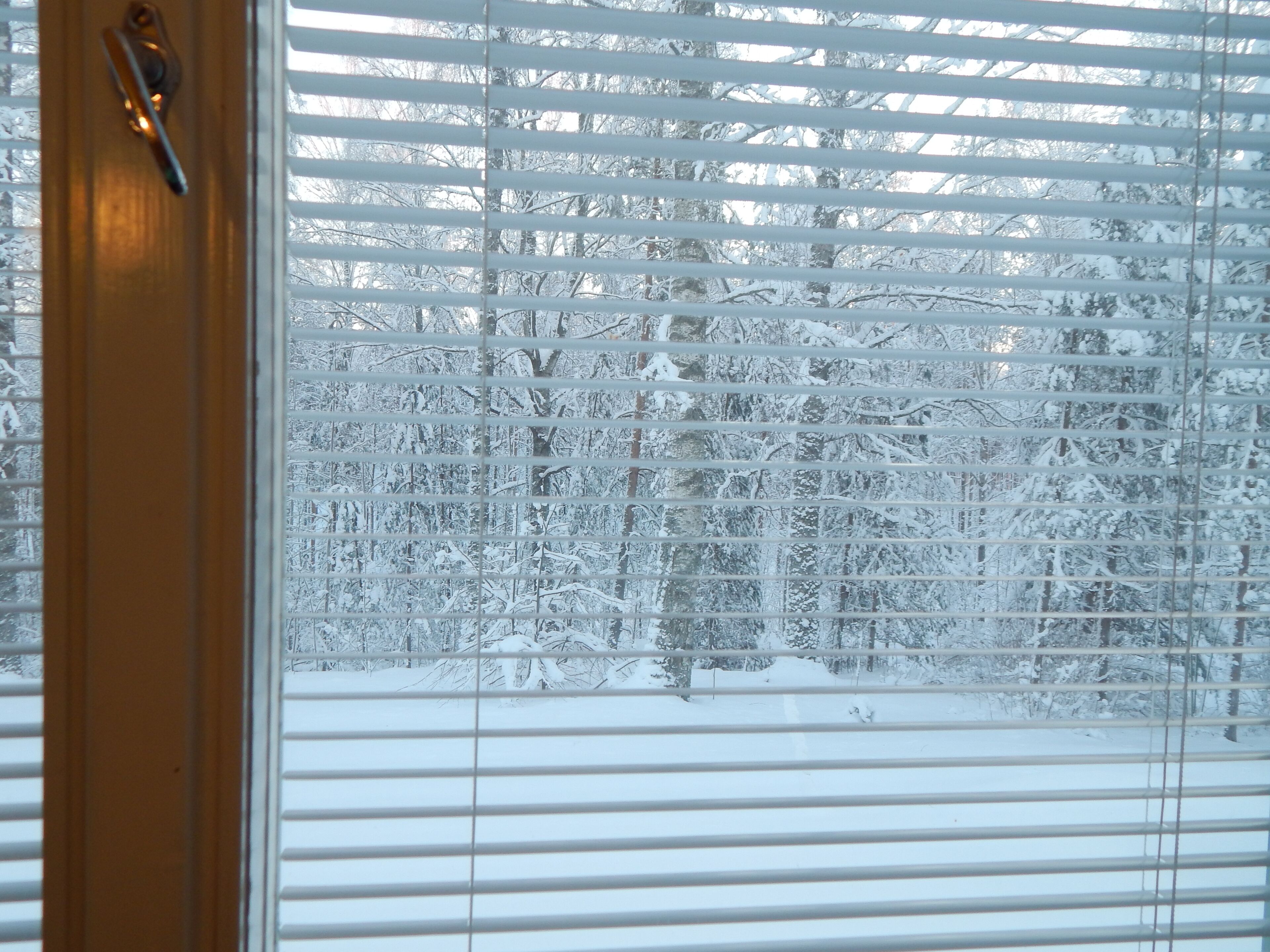 Una ventana con vidrio esmerilado, una puerta de madera con manija y vistas a un paisaje cubierto de nieve.