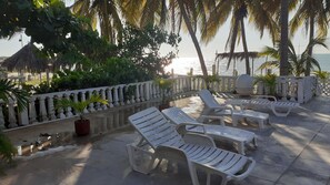 Outdoor pool - Flamingo Guest House Celestún (Celestún)
