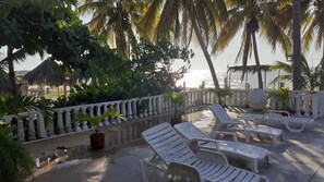 Outdoor pool - Flamingo Guest House Celestún (Celestún)