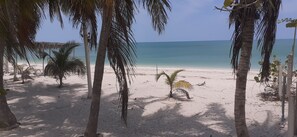 On the beach, white sand - Flamingo Guest House Celestún (Celestún)