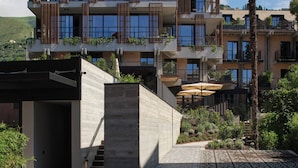Un edificio moderno de varios pisos con balcones, una palmera y un patio empedrado.