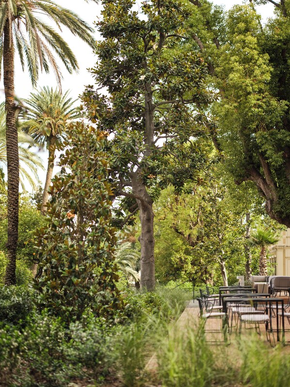 A garden area with outdoor seating and a variety of trees.