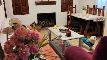 Una televisión, una chimenea