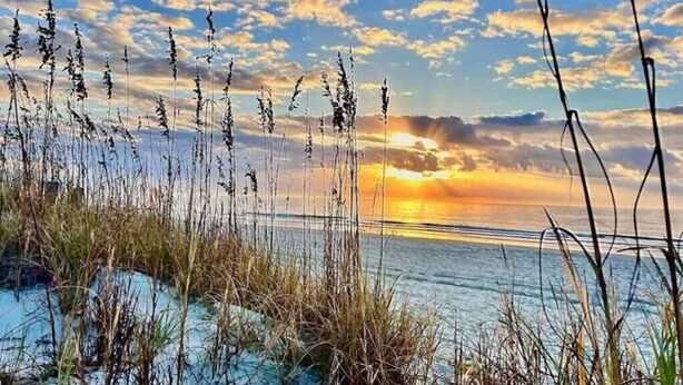 A beach scene with tall grasses and a sunset over the water. - A Slice of Heaven (Myrtle Beach)