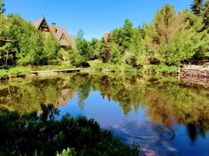 Overnatningsstedets område