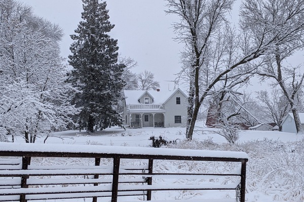 House from the Cow Yard