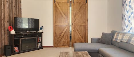 Télévision, cheminée, lecteur de DVD, livres