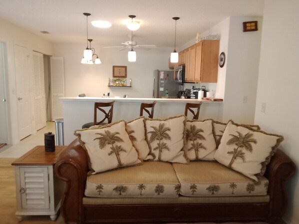 Smart TV, fireplace, DVD player, books