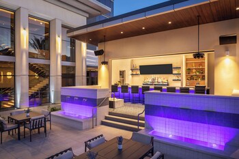 A modern hotel lobby with a wooden floor, a seating area with sofas and a coffee table, and a large plant. at Caesars Republic Scottsdale, a Hilton Hotel
