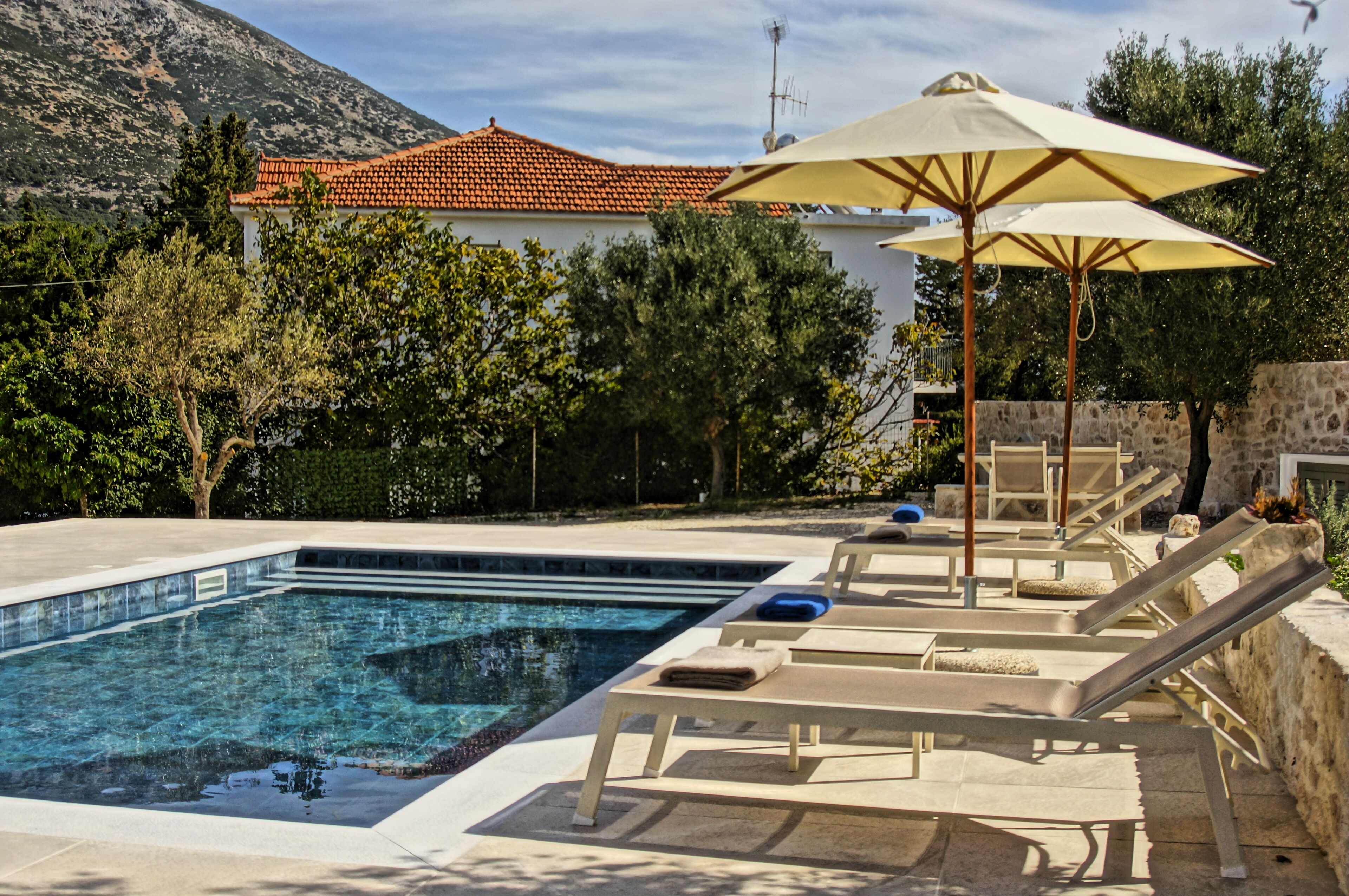 A swimming pool with lounge chairs and an umbrella, surrounded by trees and a mountain in the background.