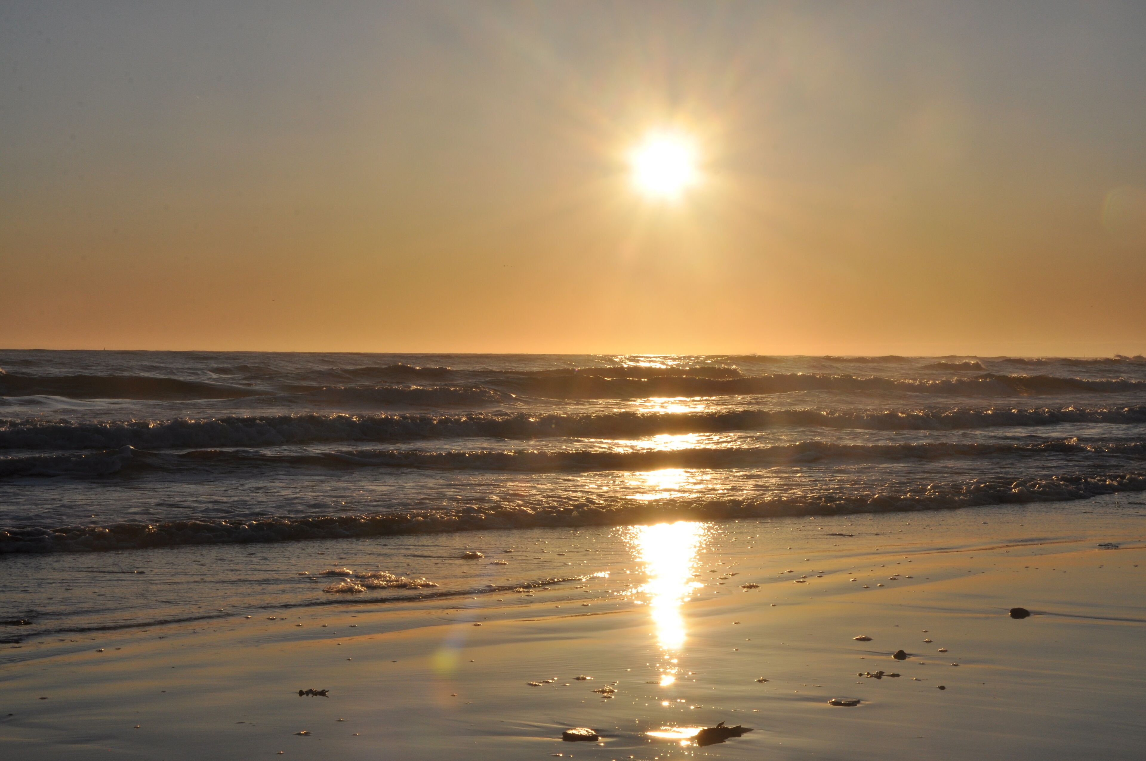 Plage, chaises longues, serviettes de plage