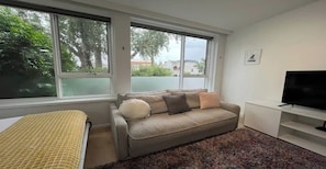 A room with a sofa, a TV, and a window with a view of trees and buildings.