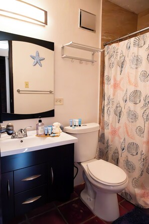 Shower, eco-friendly toiletries, hair dryer, towels