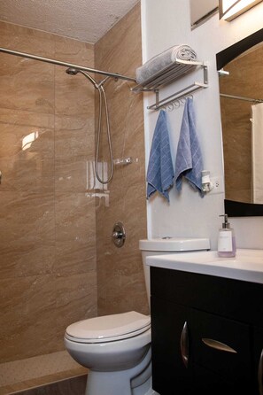 A bathroom with a shower, toilet, and vanity with a mirror.
