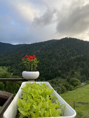 Blick von der Unterkunft