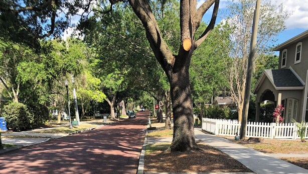 Una calle arbolada con acera y pavimento de ladrillo.