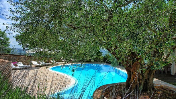 A curved swimming pool surrounded by a stone deck, with lounge chairs and a tree in the background. - Villa Paradiso–Villa with private pool, Umbria (Trestina)