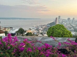 A coastal cityscape with a view of the sea, buildings, and a prominent tree. - HOTEL PERLA CENTRAL MALECON (Guayaquil)
