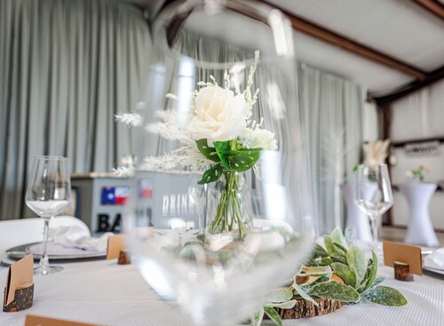 Weekend Getaway - Country Oasis Pool, Hot Tub, Texas Longhorns & Event Venue