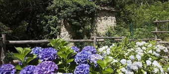 Holiday apartment San Bernardino Verbano for 1 - 5 persons with 1 bedroom - Farmhouse