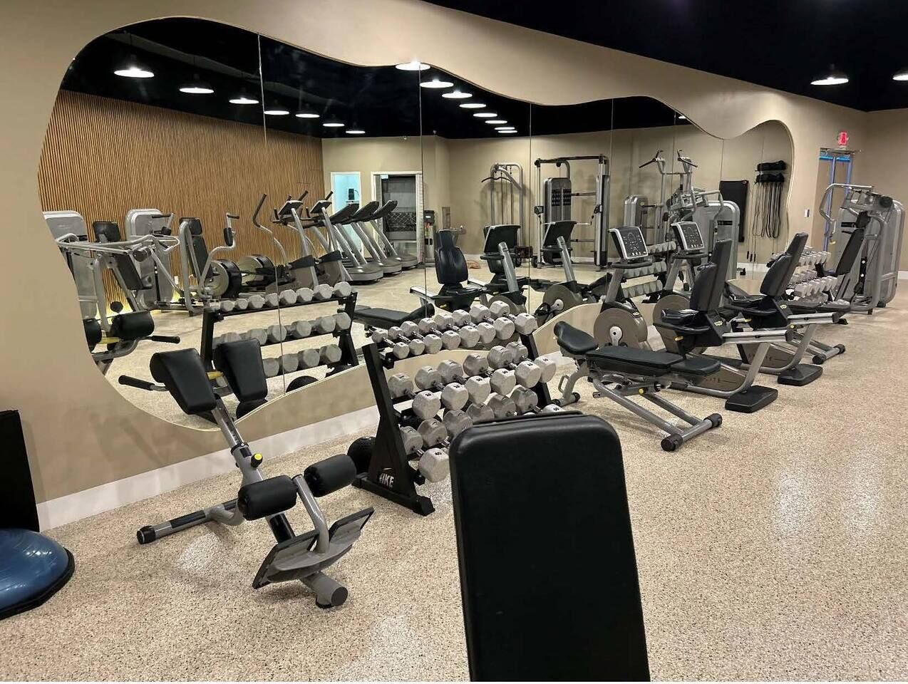 A gym with various exercise equipment, including treadmills, weight machines, and dumbbells.