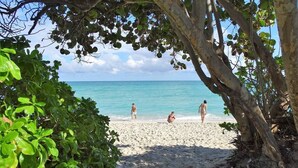 Uma praia com pessoas, árvores e uma vista desobstruída do oceano.