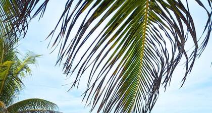 Guesthouse & Yoga Studio beachfront home: El Cuyo