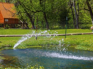 Property grounds - Copper Tiny A Frame on Glamping Goat Farm Sleeps up to 4 (Newport)