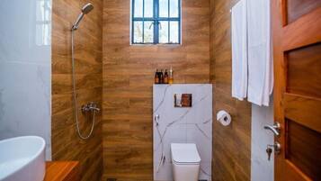 Shower, hair dryer, bidet, towels