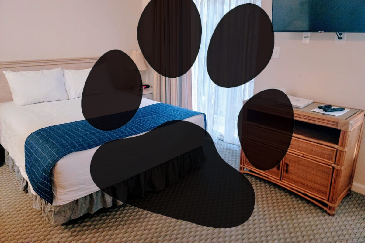 A hotel room with a bed, a TV, a wooden nightstand, and a window with curtains.
