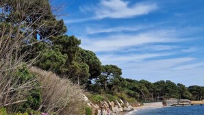 A beach with a sandy shore, a clear blue sky, and purple flowers in the foreground. - Nice T4 appartement in Hotel Residence at Lecci near Cala Rossa Beach (Lecci)