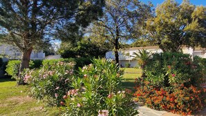 A residential area with houses, a paved path, and various flowering plants. - Nice T4 appartement in Hotel Residence at Lecci near Cala Rossa Beach (Lecci)