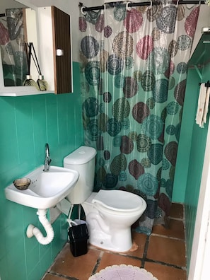Sèche-cheveux, savon, papier toilette