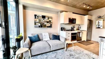 Smart TV, fireplace, books