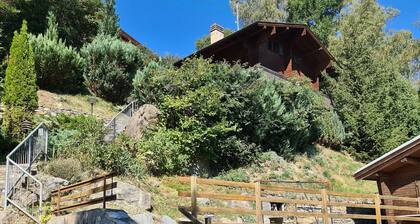 Porkka COSY & QUIET chalet 8 pers